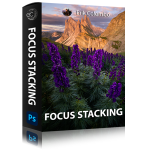 Focus Stacking 250x250 Video Tutorial